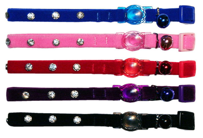 Cat Collars