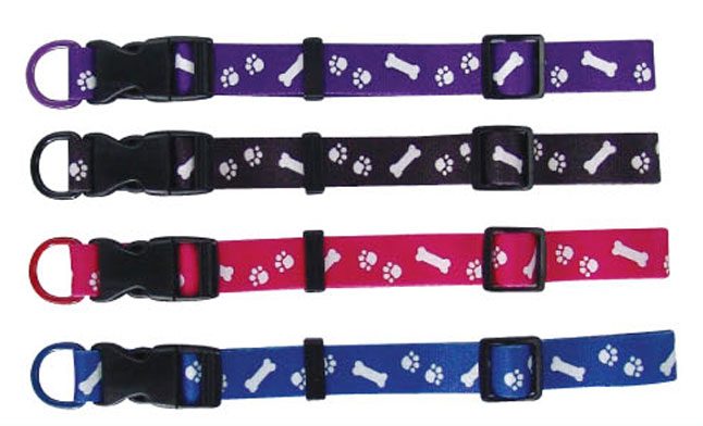 Dog Collars