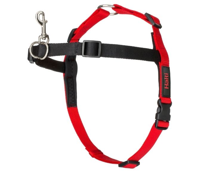 Company Of Animals  Front Control Halti Harness