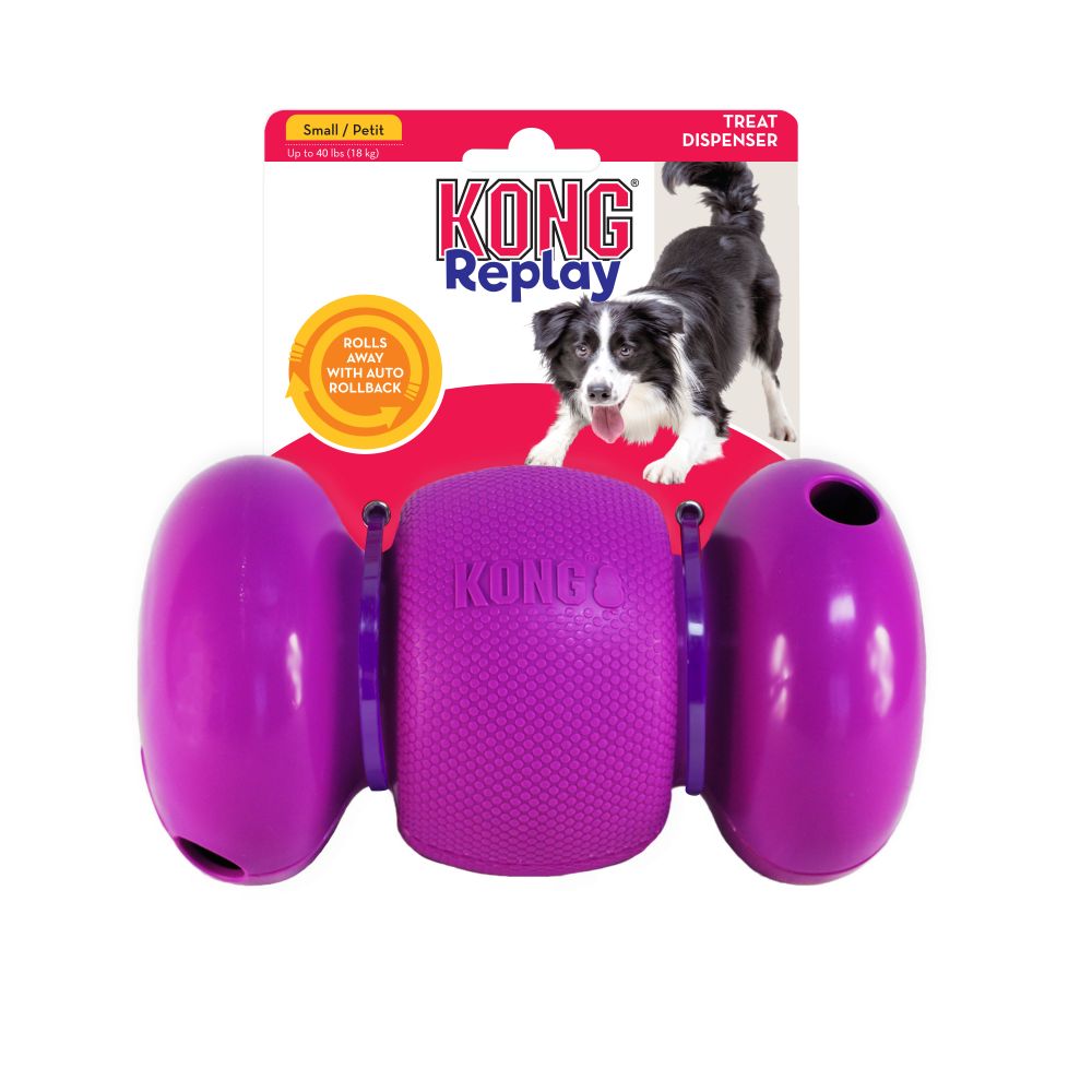 KONG Dog Replay