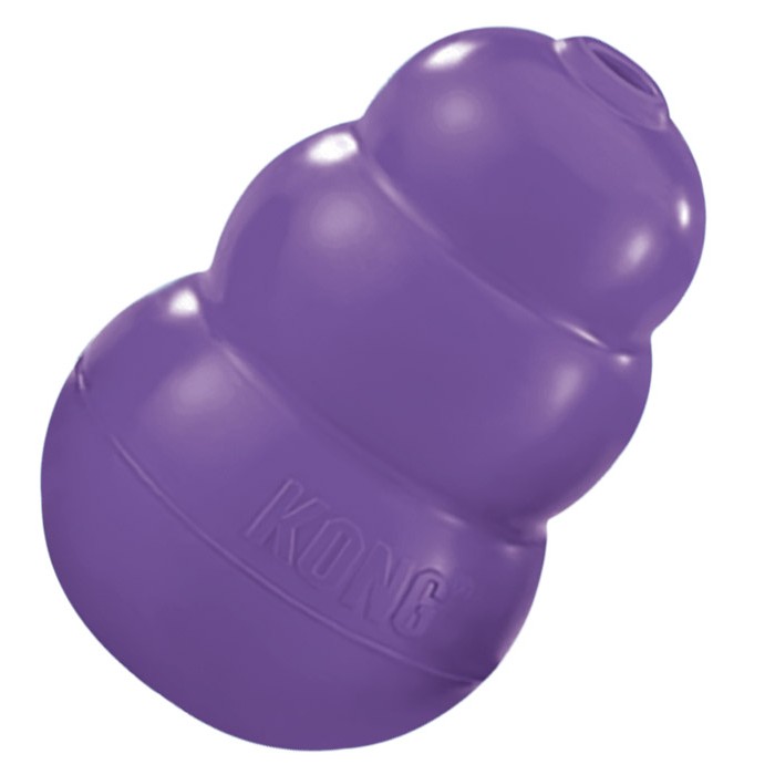 KONG Senior