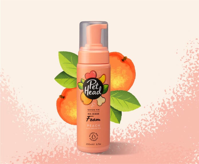 Pet Head Quick Fix No Rinse Foam