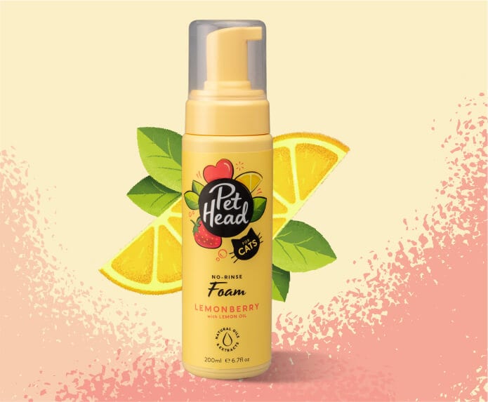 Pet Head Felin' Good No Rinse Foam