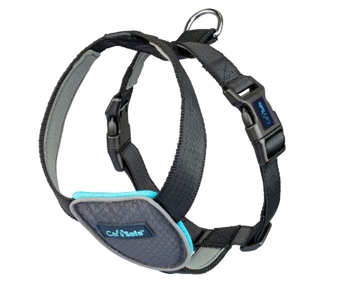 Company of Animals CarSafe Dog Travel Harness