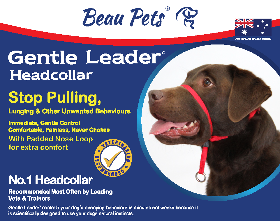 Gentle Leader Head Collar
