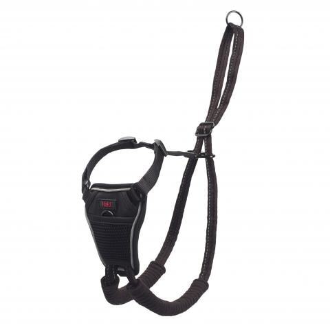 Company Of Animals  No Pull Halti Harness