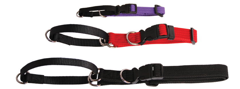 Beau Pets Webbing Martingale Collar