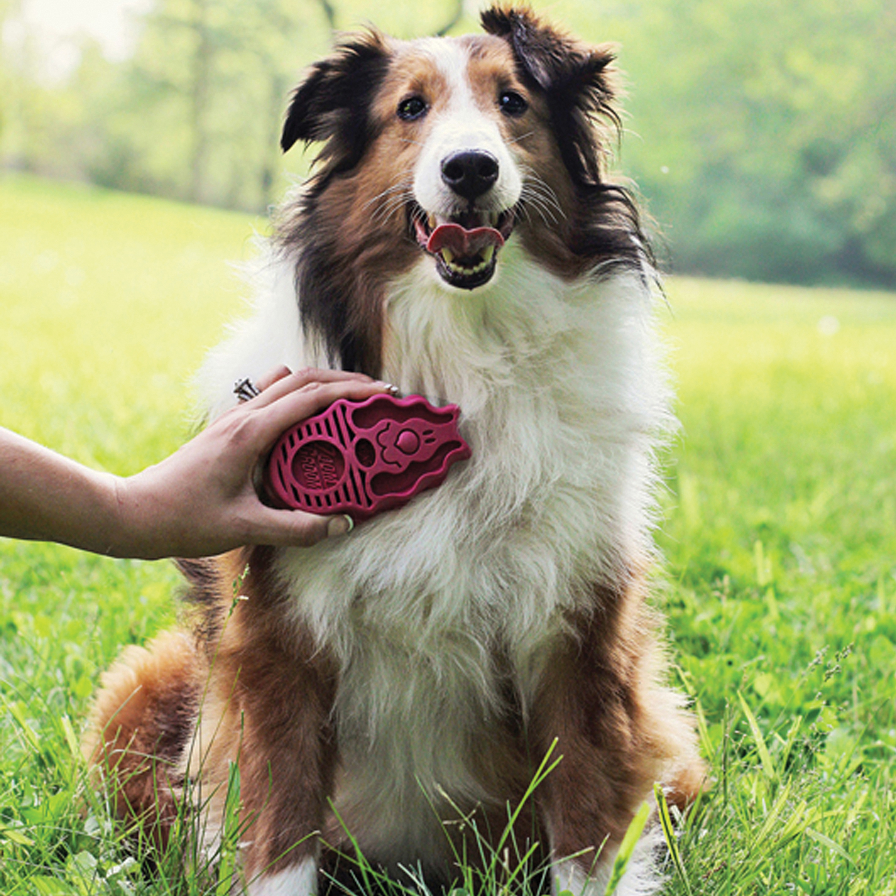 KONG ZoomGroom Brush - Raspberry 