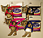 Cat Harness & Lead Set
