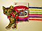 Cat Harness with Fish Pattern